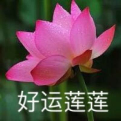 【境内疫情观察】辽宁新增4例本土病例（5月15日）